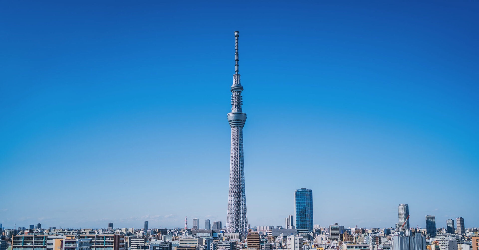 墨田区マンスリーマンション ワールドポテンシャル
