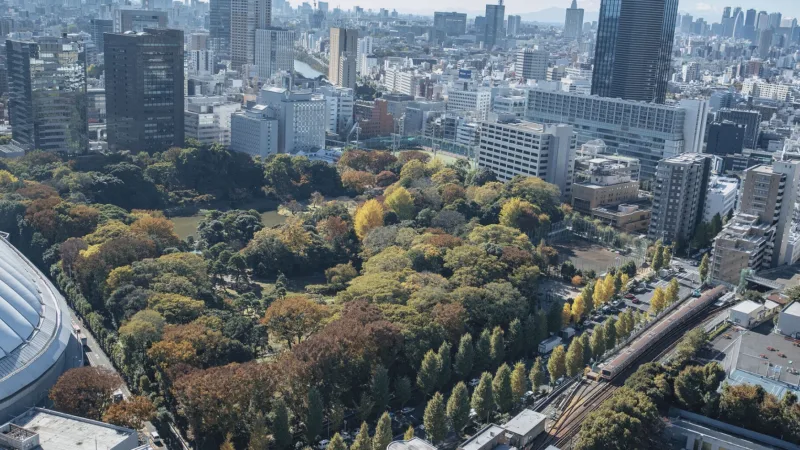Real Estate,Apartments,Rent,Tokyo