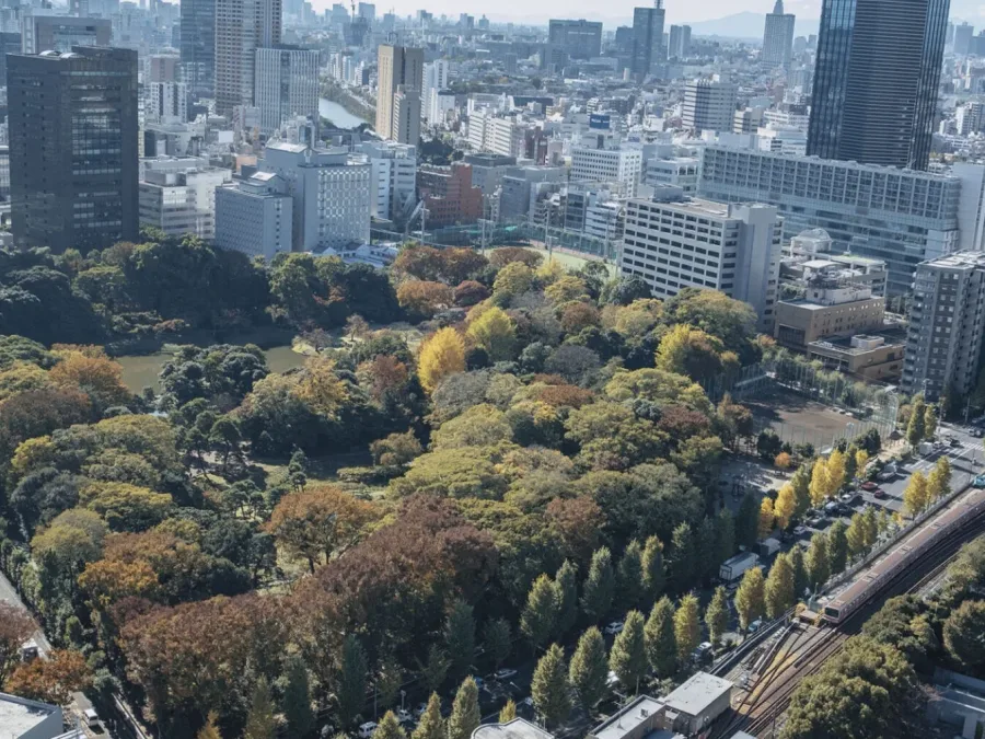 マンスリーマンション,不動産,外国人向け,ワールドポテンシャル,ホテル,宿泊施設,不動産仲介